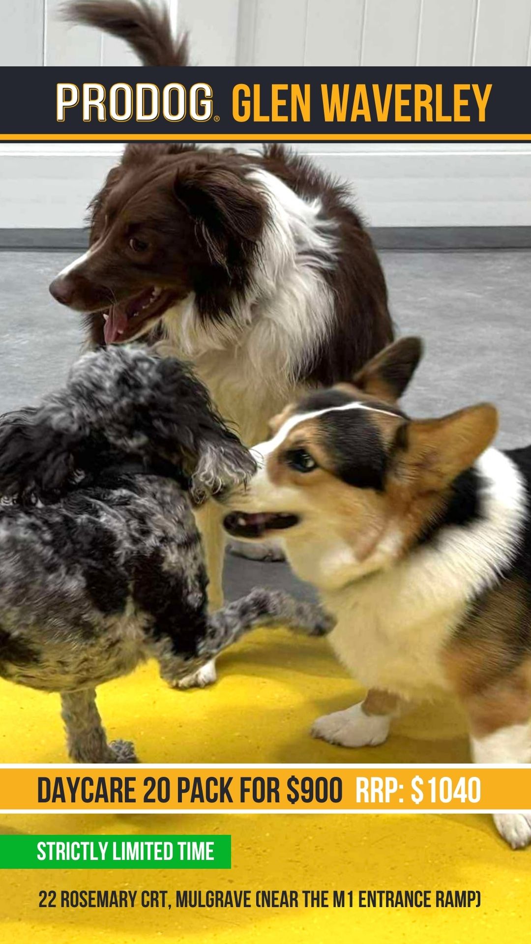 Pro Dog Training Facebook ad