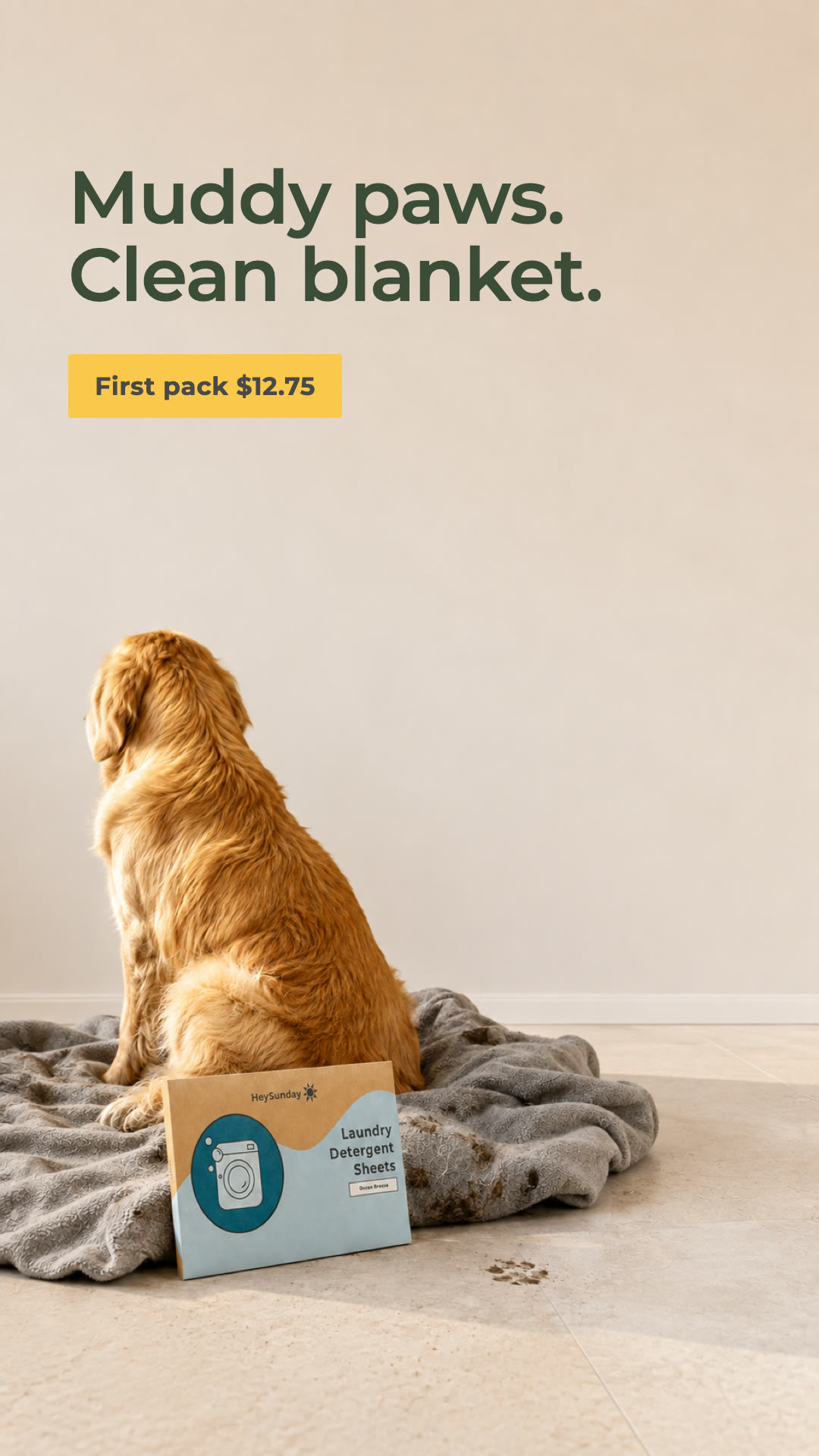 HeySunday Facebook ad: Laundry Just Got a Whole Lot Greener