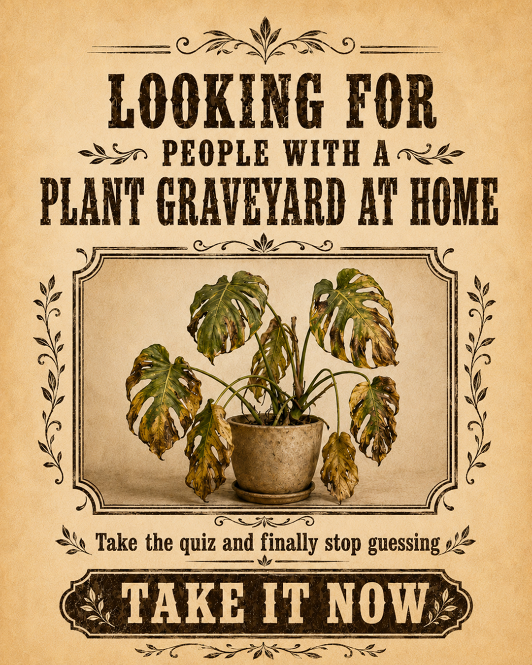 PlantIn AI: Never Kill Your Plants Facebook ad from May 25, 2026