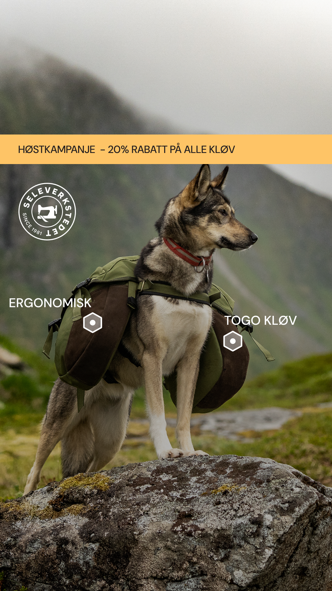 Seleverkstedet Facebook ad