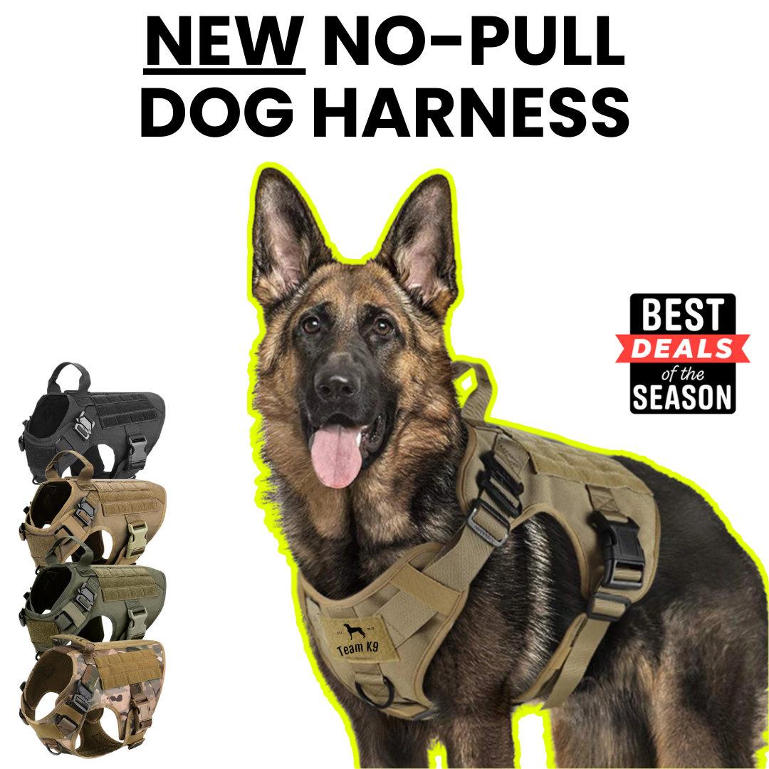 Team K9 Facebook ad