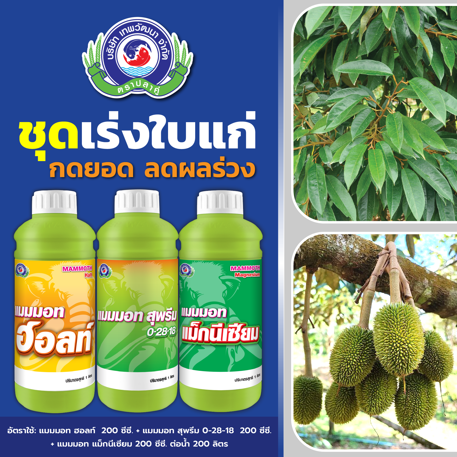 เทพวัฒนา ตราปลาคู่ Facebook ad: ฝนตกติดต่อกันหลายวัน ปัญหาที่ต้องระวัง คือ…