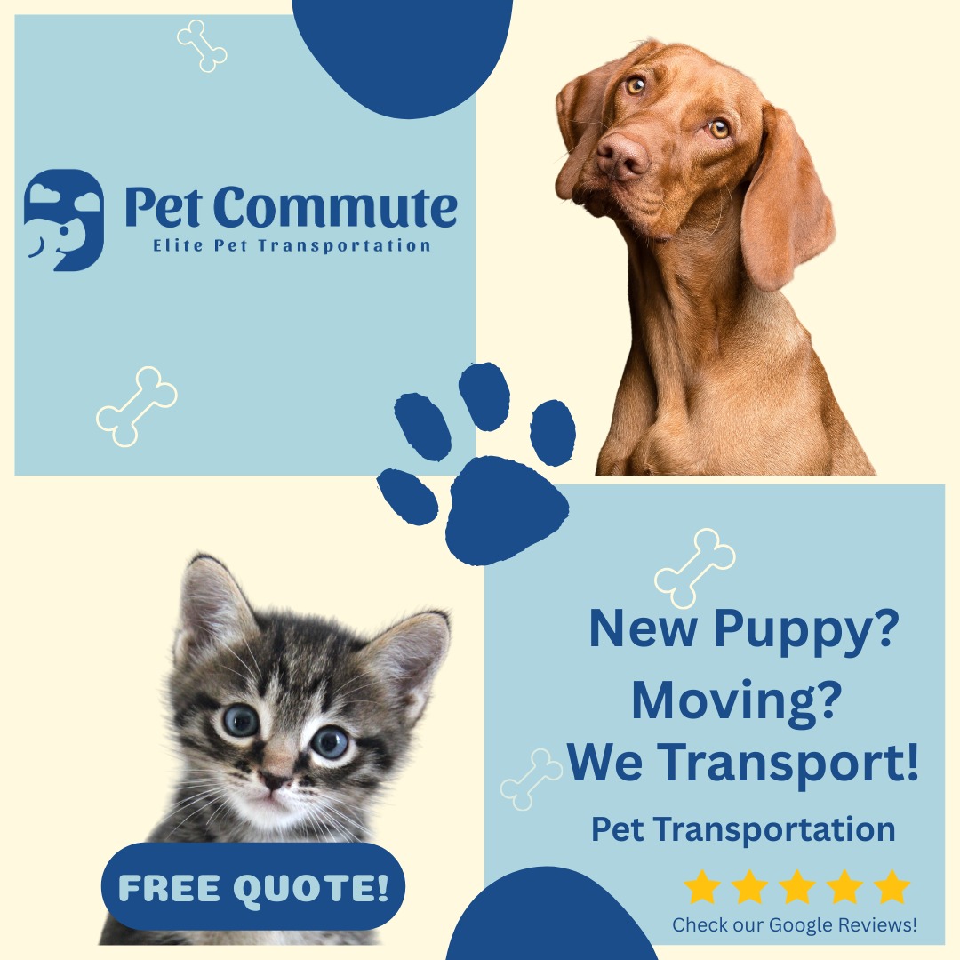 petcommute Facebook ad