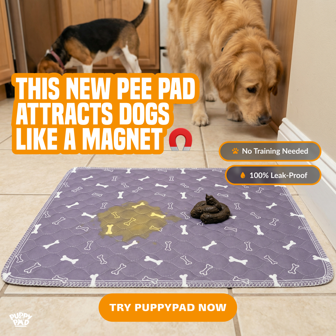 PuppyPad Facebook ad