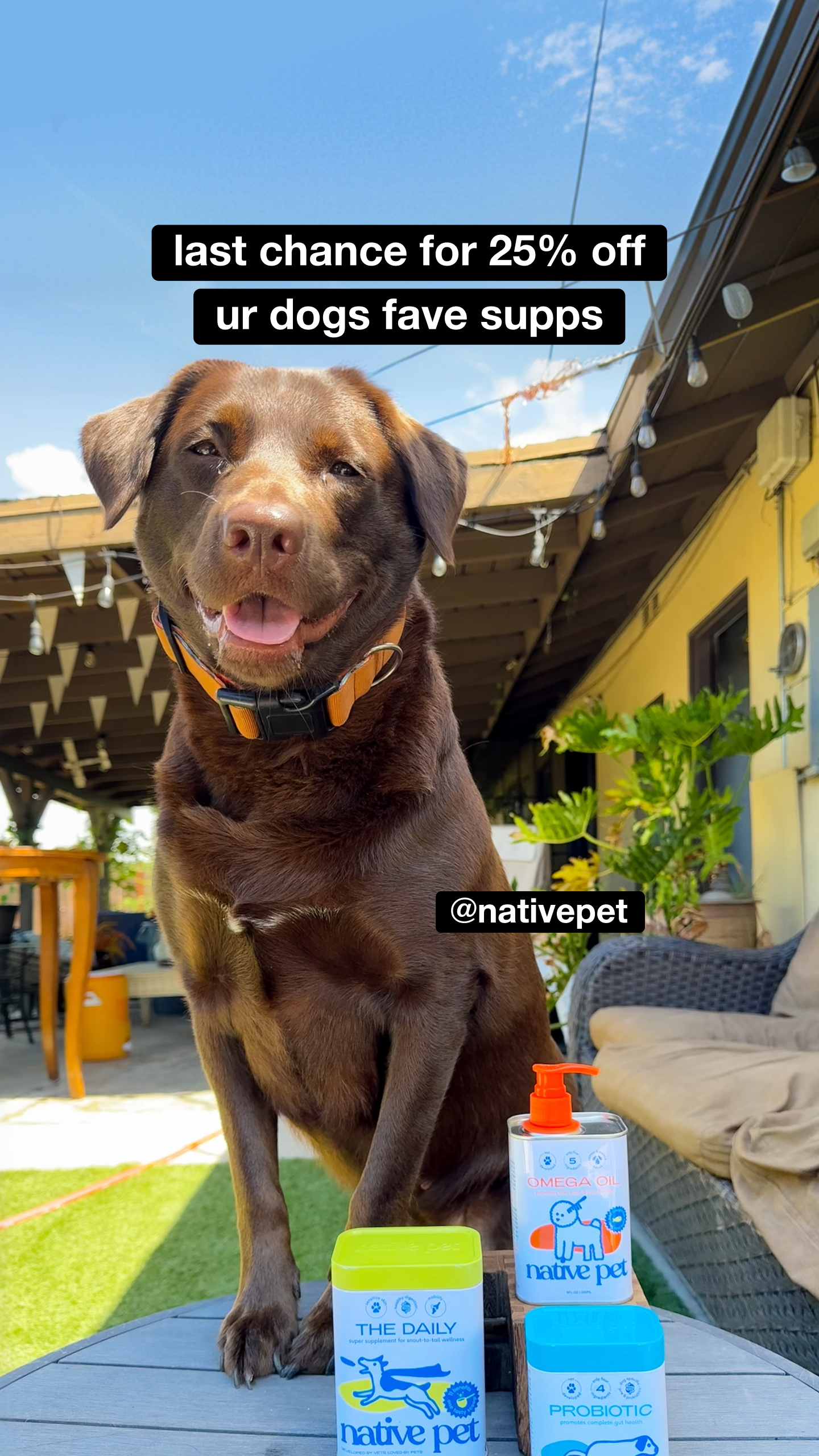 Native Pet Facebook ad