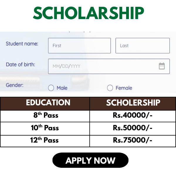Wise World Facebook ad: Free Scholarships