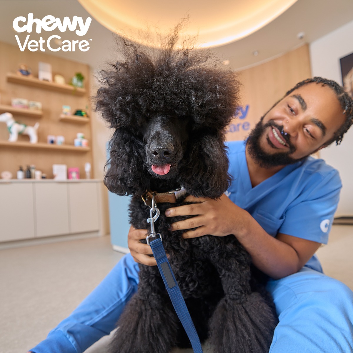 Chewy Vet Care Facebook ad