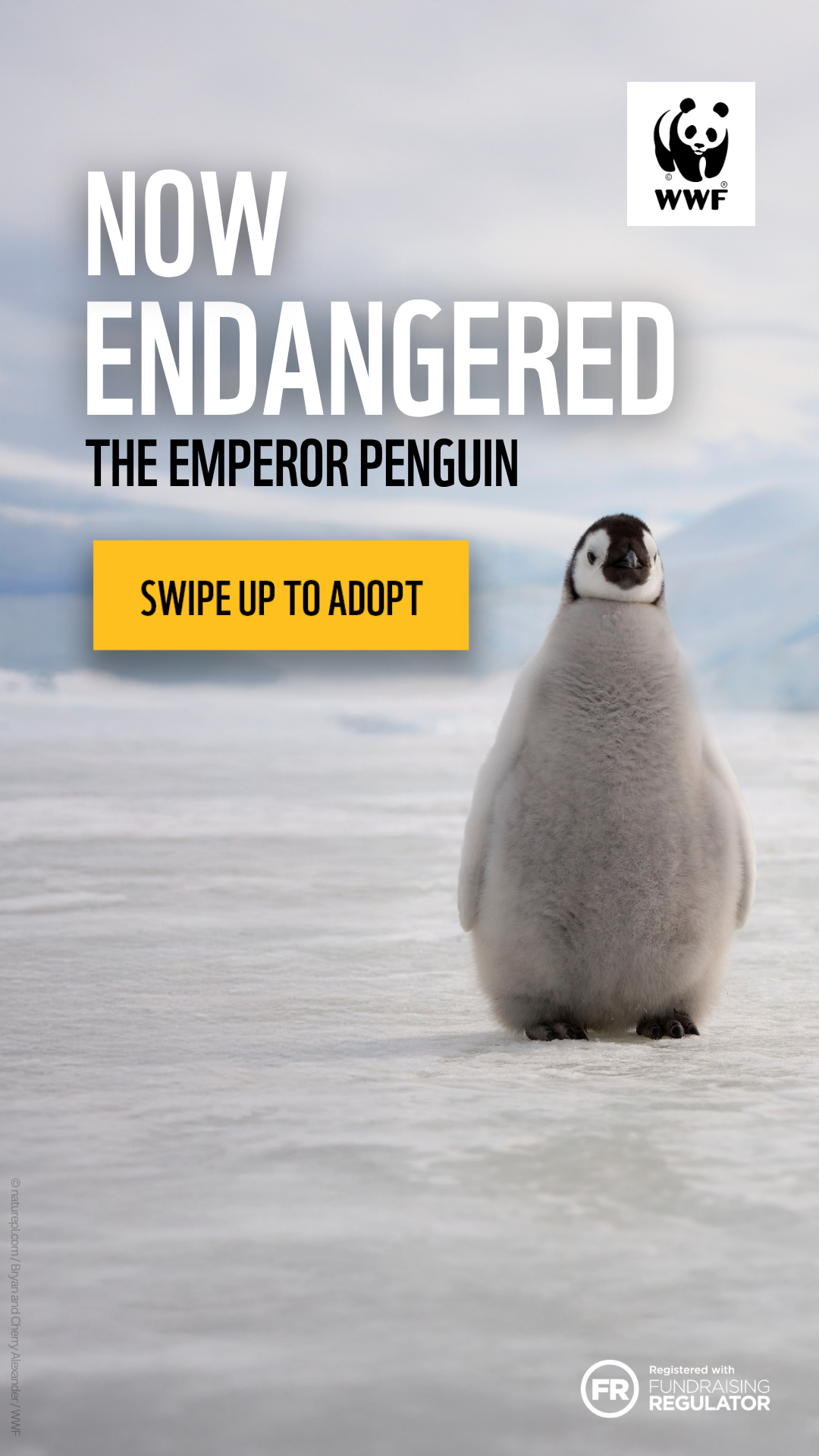 WWF UK Facebook ad