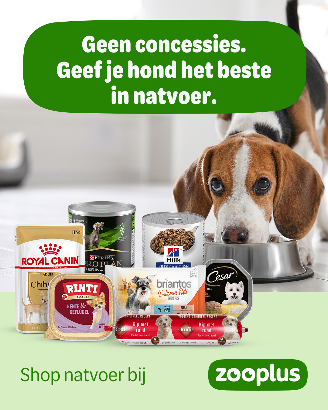 zooplus Facebook ad