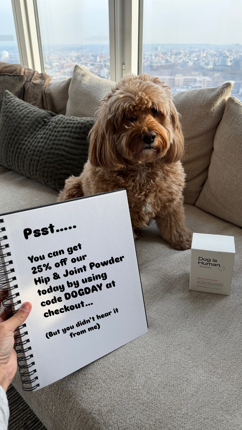 Dog is Human Facebook ad