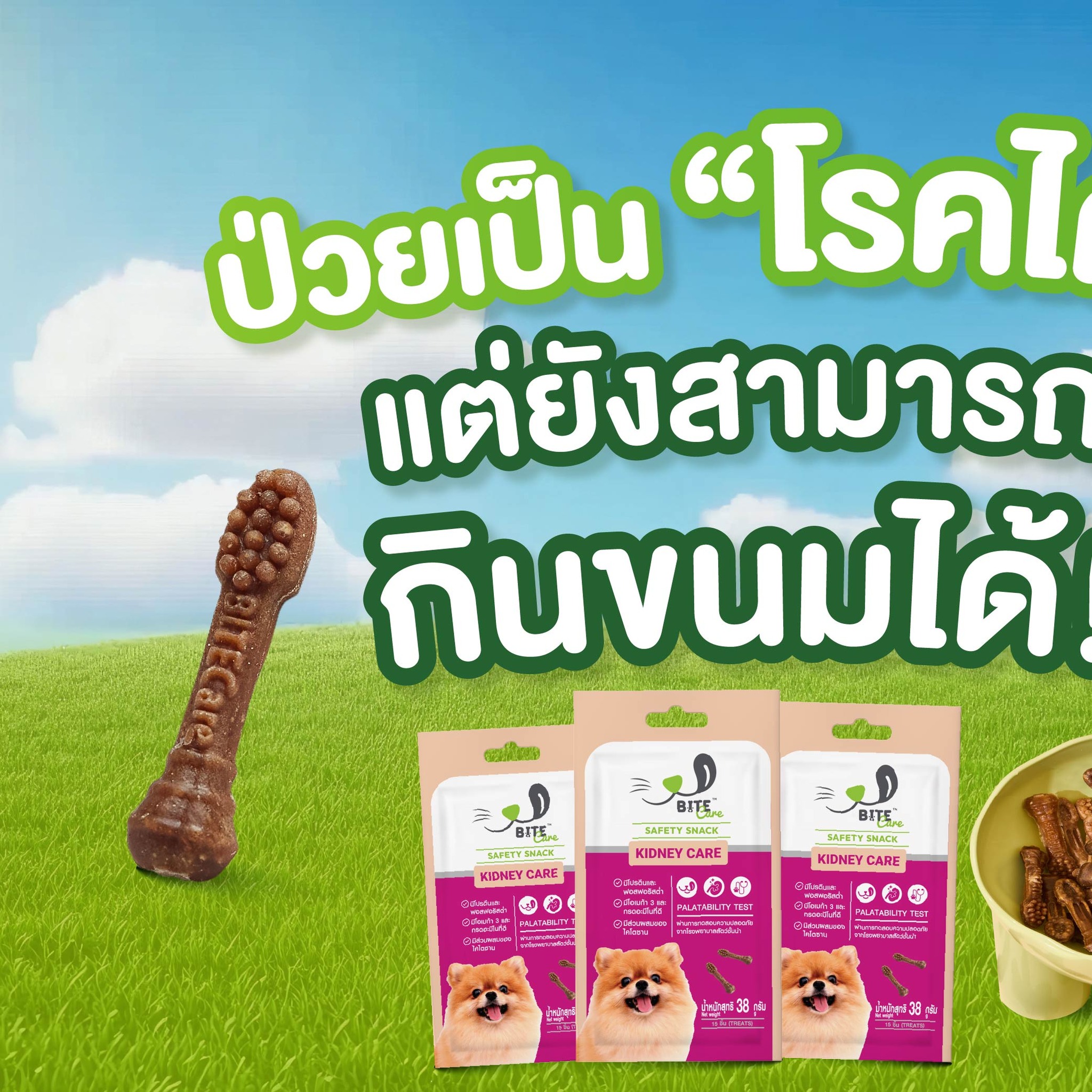 Bitecare ขนมสุขภาพสำหรับหมาแมว Facebook ad