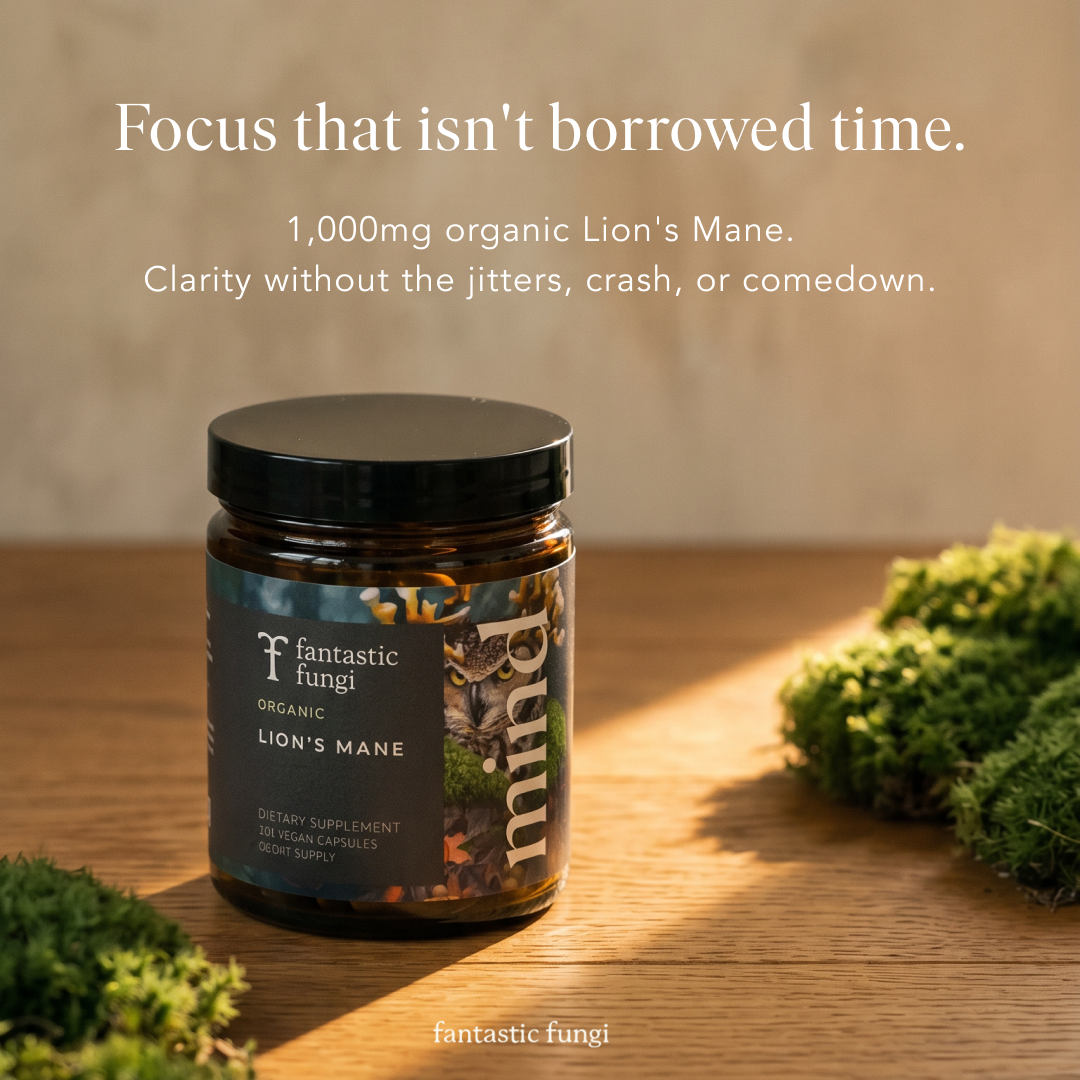 Fantastic Fungi Facebook ad