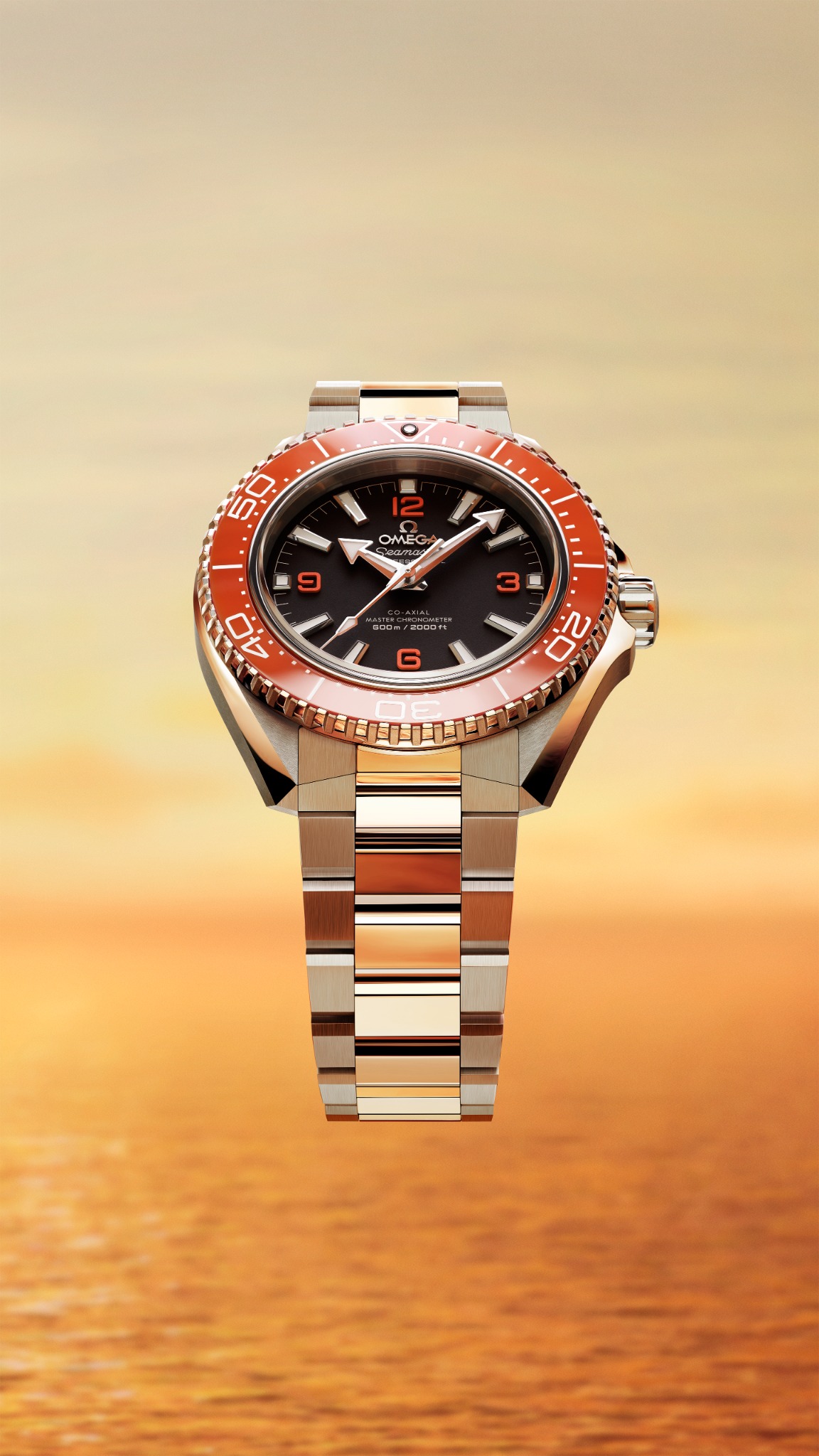OMEGA Watches Facebook ad