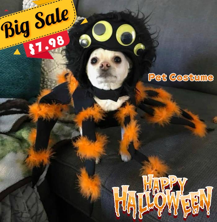 Alvin Dunham Facebook ad: Spider Pup Costume, Exclusive sales! Perfect price!