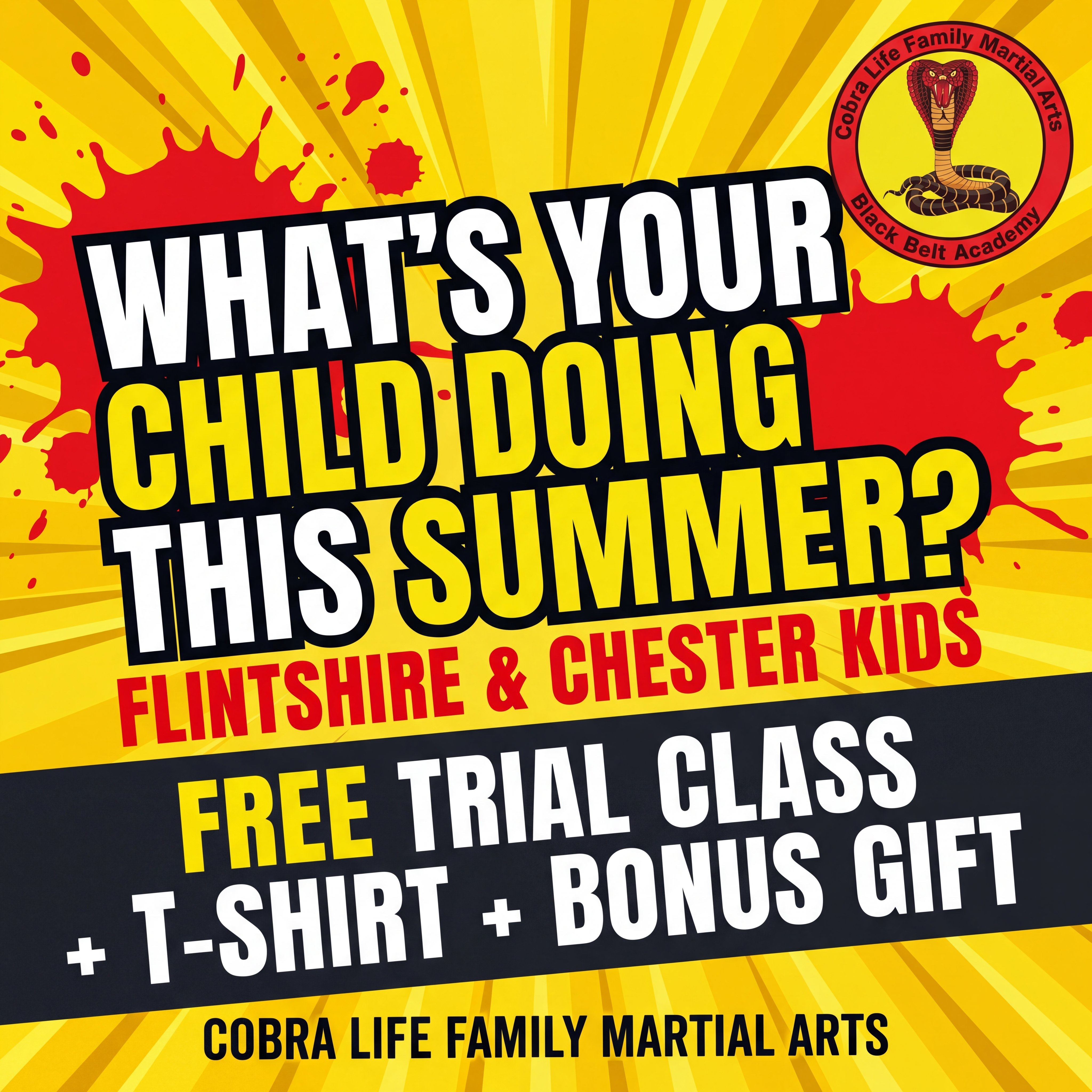 Cobra Life Family Martial Arts Black Belt Academy Facebook ad