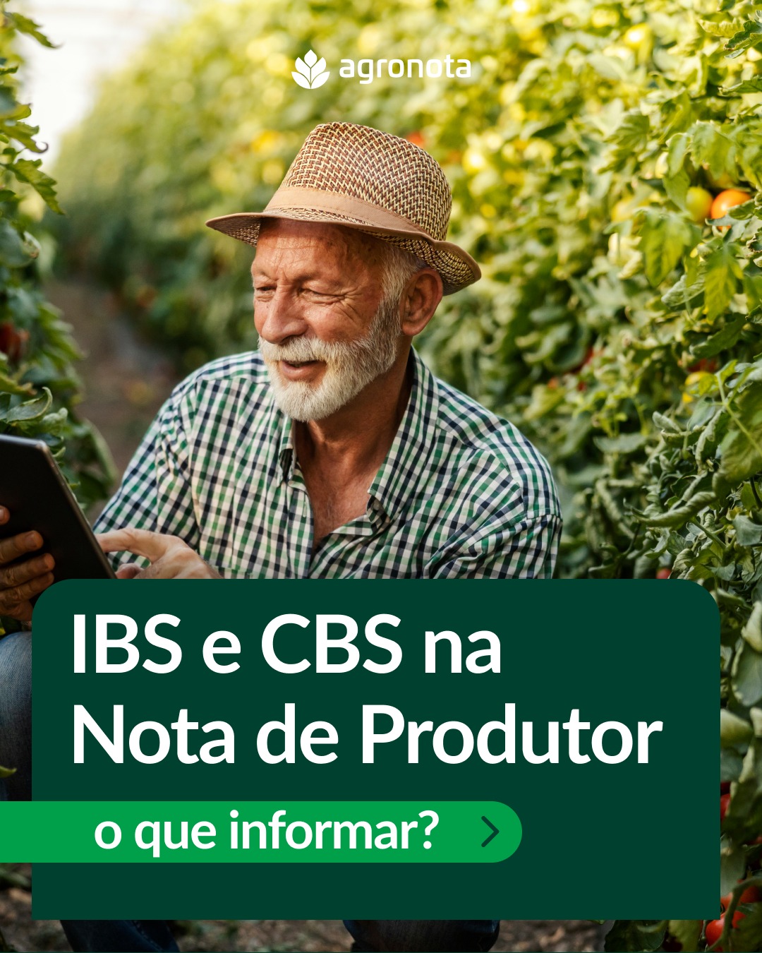 AgroNota Facebook ad: Os campos de IBS e CBS já são…