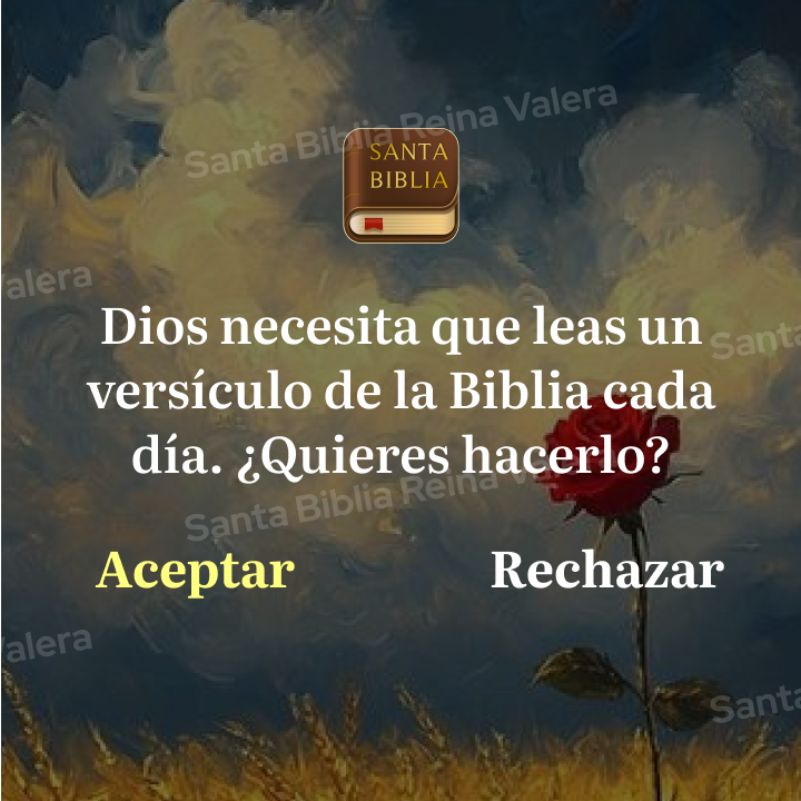 Bible Offline Facebook ad