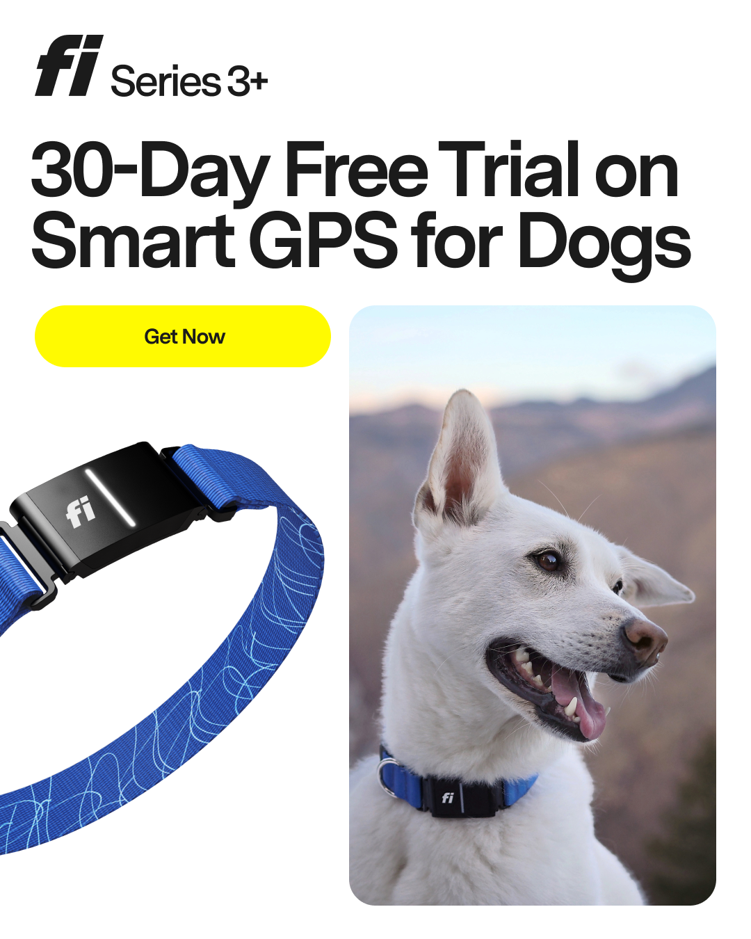 Fi Facebook ad