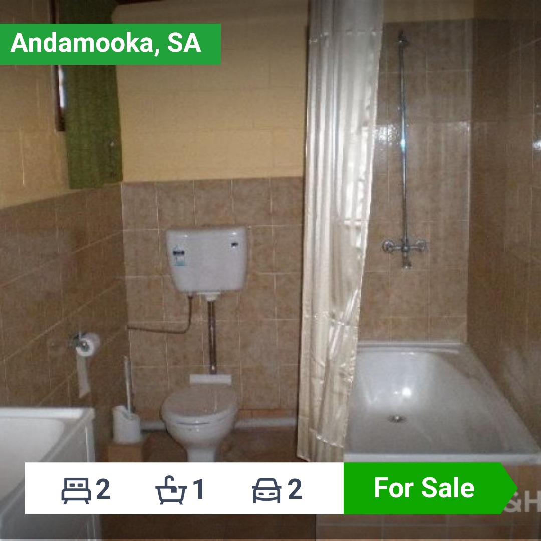 Domain Facebook ad
