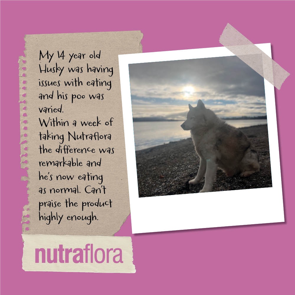 Nutravet Facebook ad