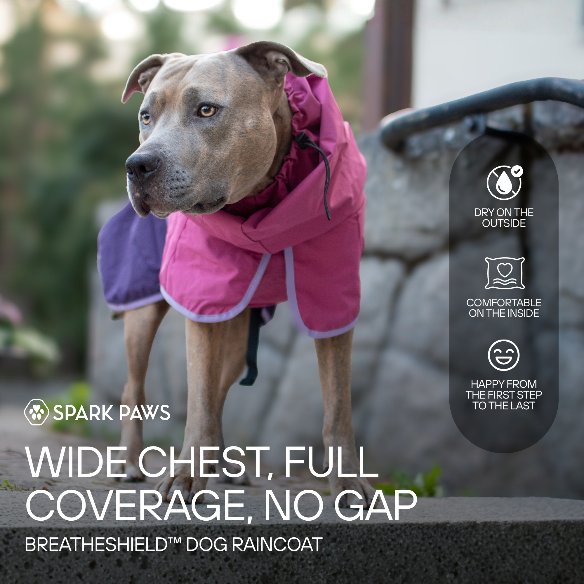 Spark Paws Facebook ad