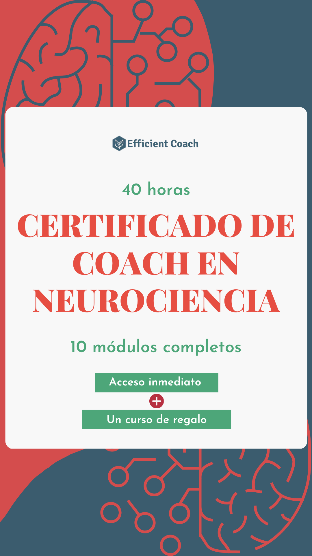 Efficient Coach Facebook ad