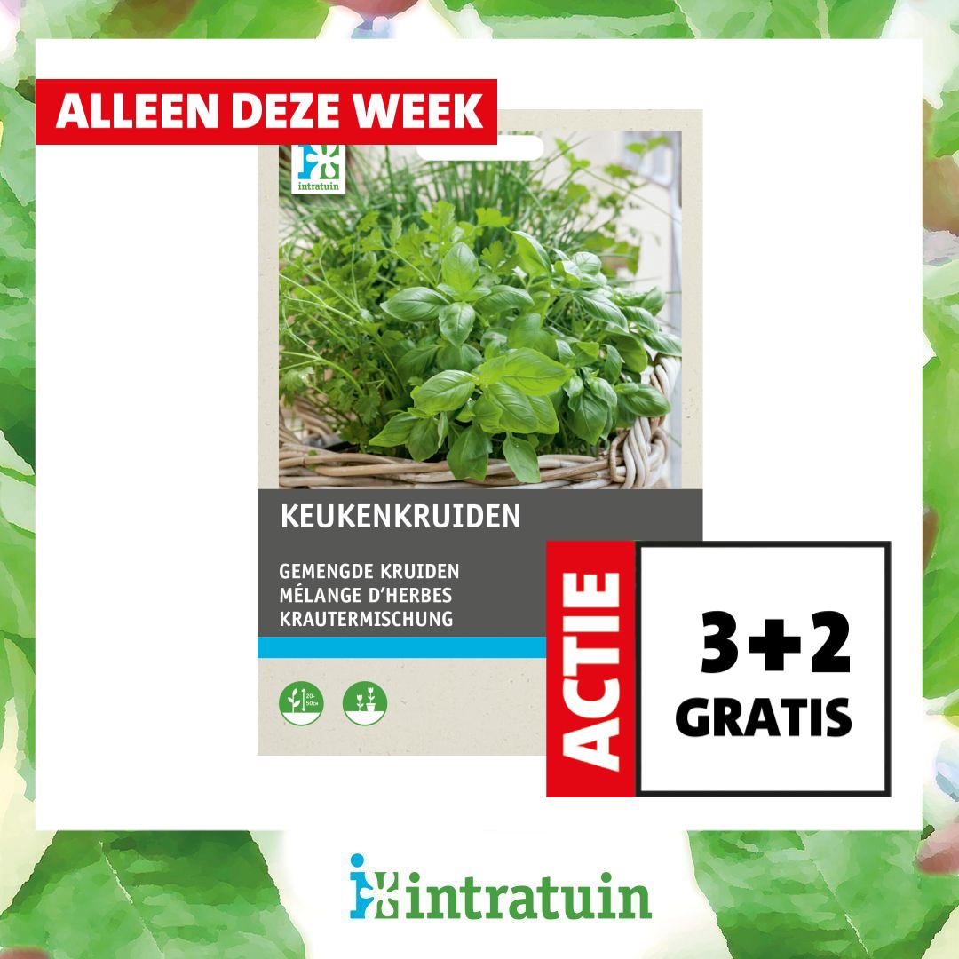Intratuin Facebook ad