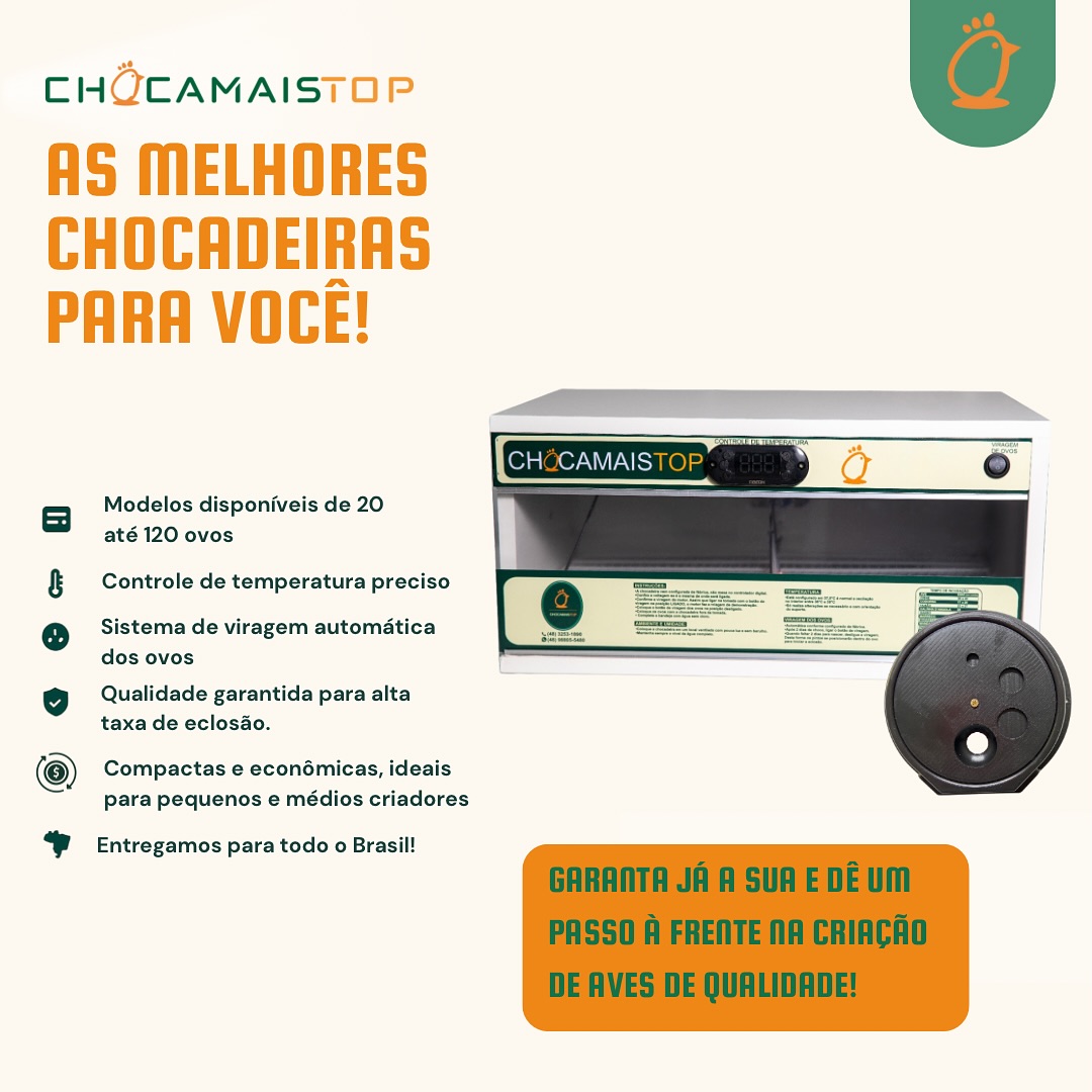 ChocMais Chocadeiras Facebook ad: Chocadeira de ovos automática ChocaMaisTop - A mais…