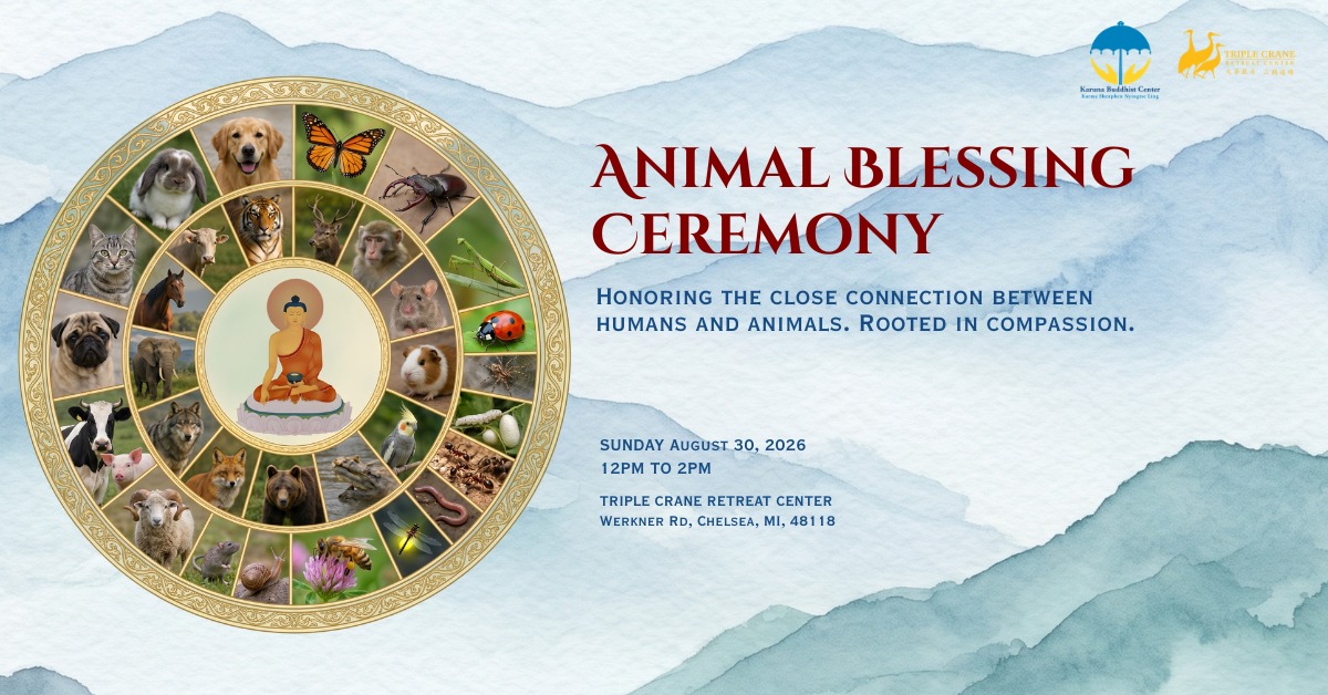 Karuna Buddhist Center Facebook ad: Animal Blessing Ceremony