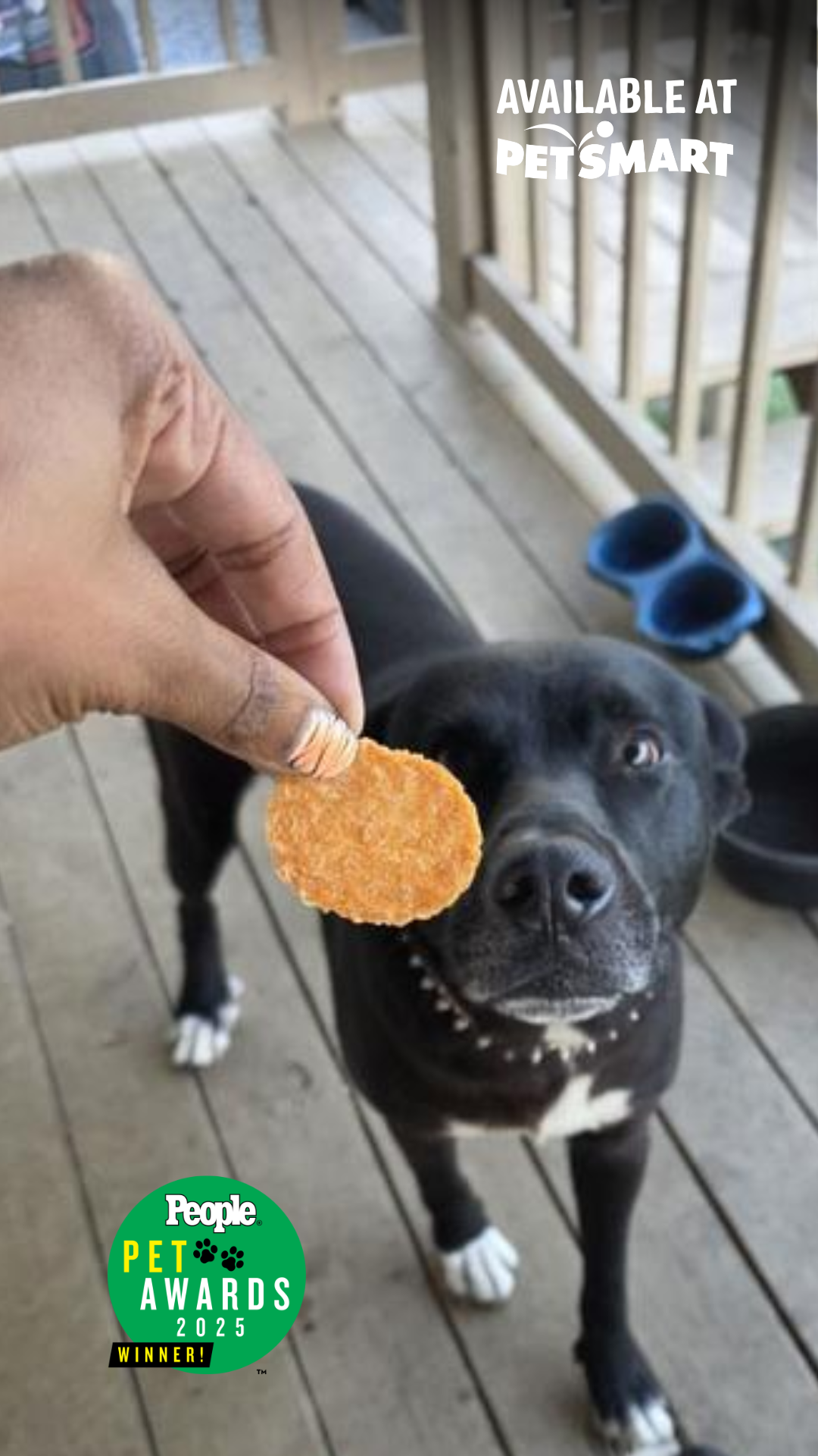 Three Dog Bakery Facebook ad