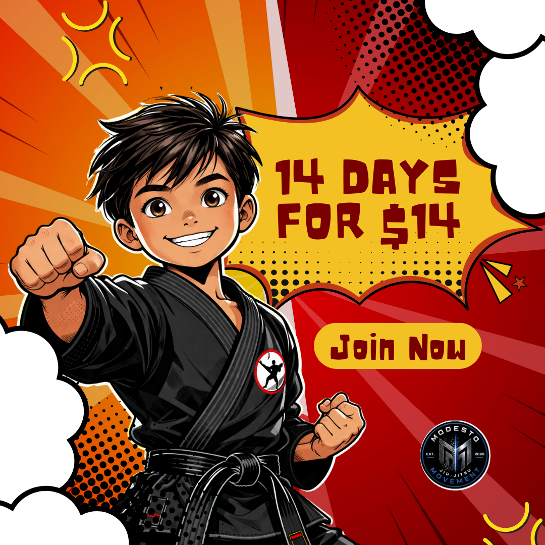 Modesto Jiu-Jitsu Facebook ad