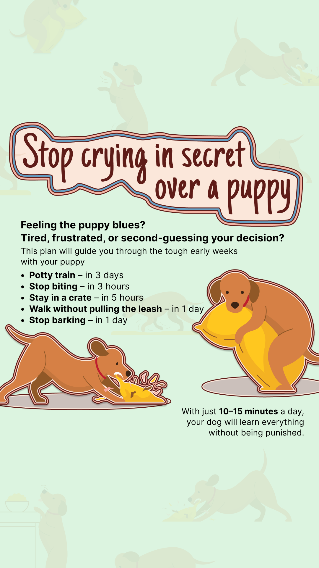 Woofz - Puppy Training Facebook ad