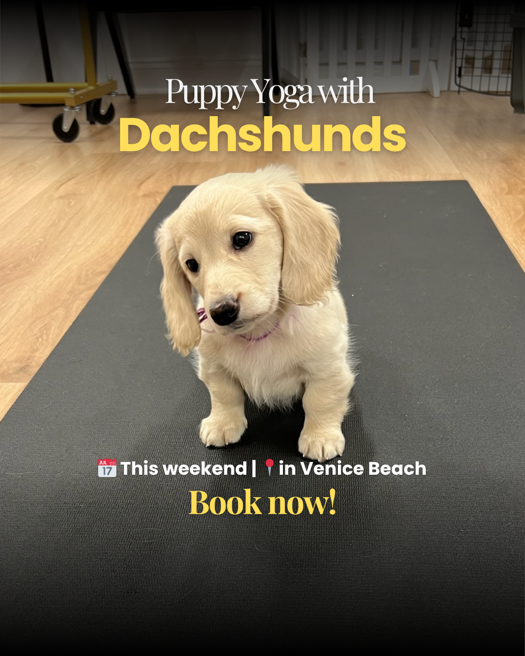 Puppy Yoga Club Facebook ad