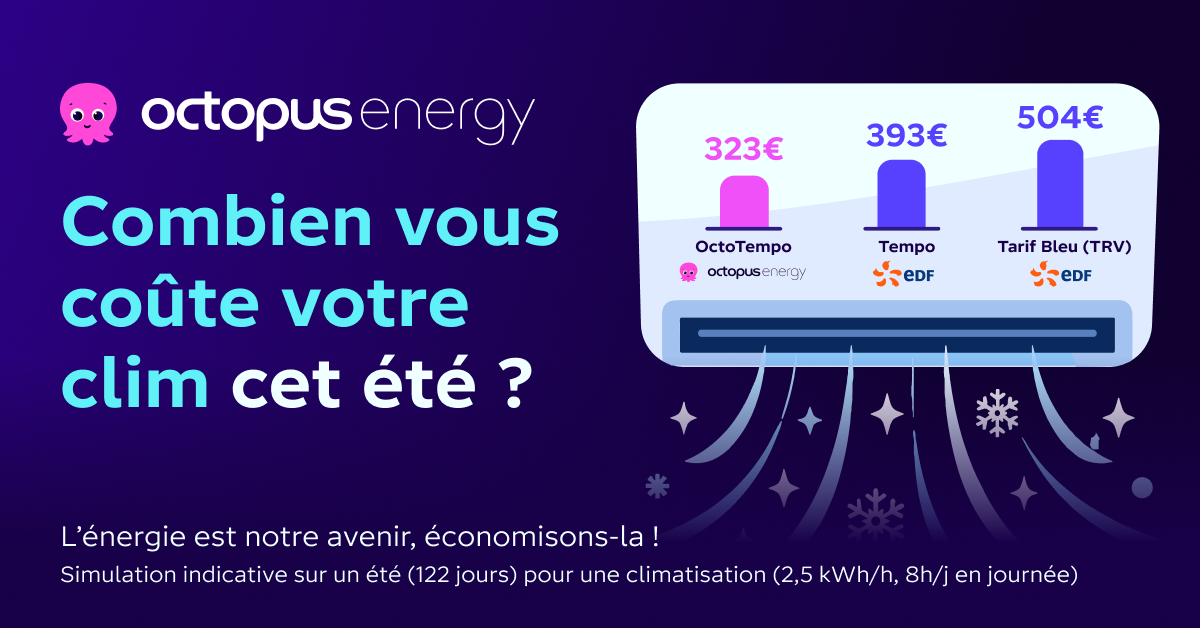 Octopus Energy Facebook ad