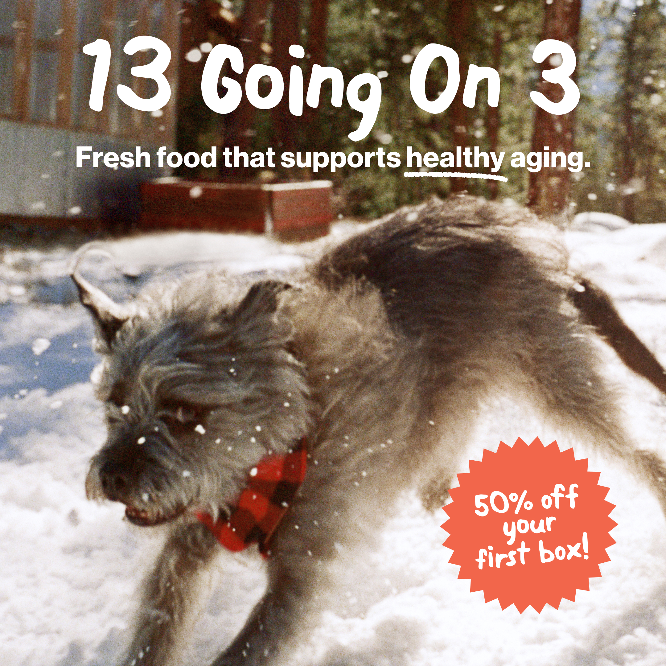 The Farmer's Dog Facebook ad