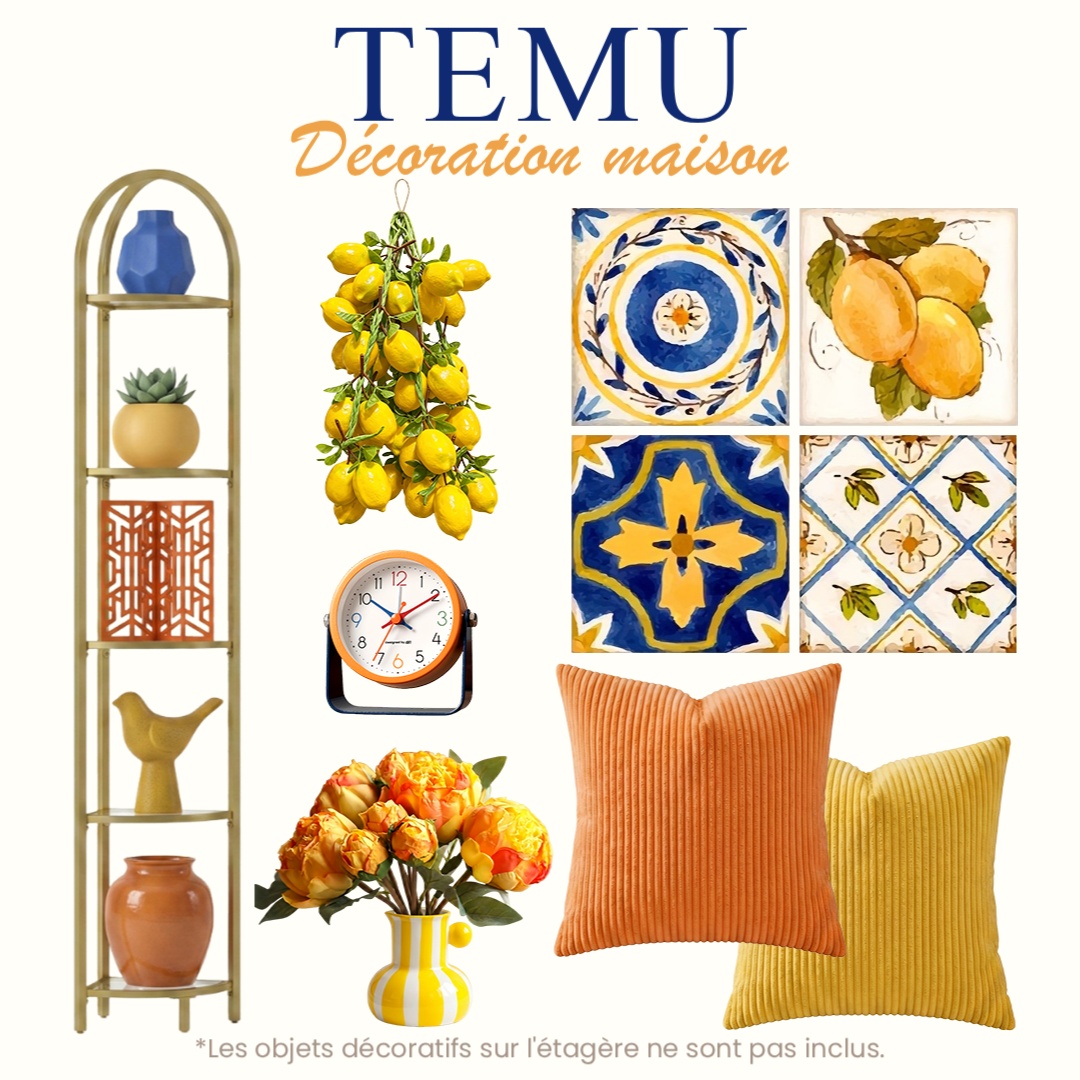 Temu France Facebook ad: Top Ventes