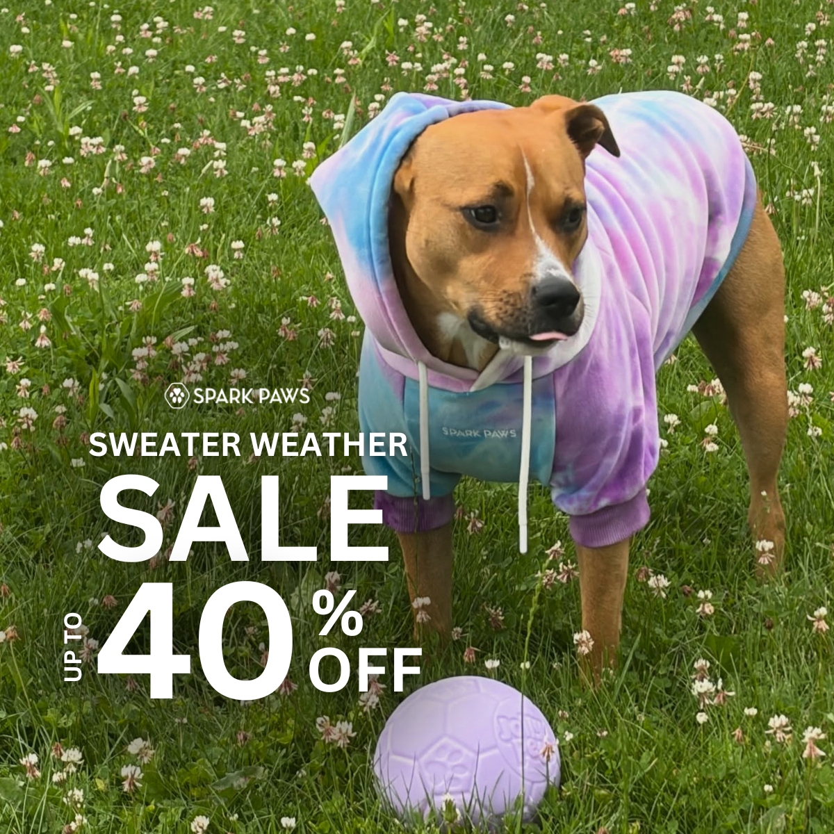 Spark Paws Facebook ad