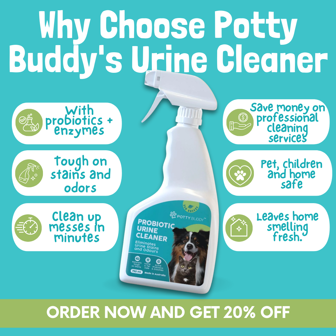 Potty Buddy Facebook ad