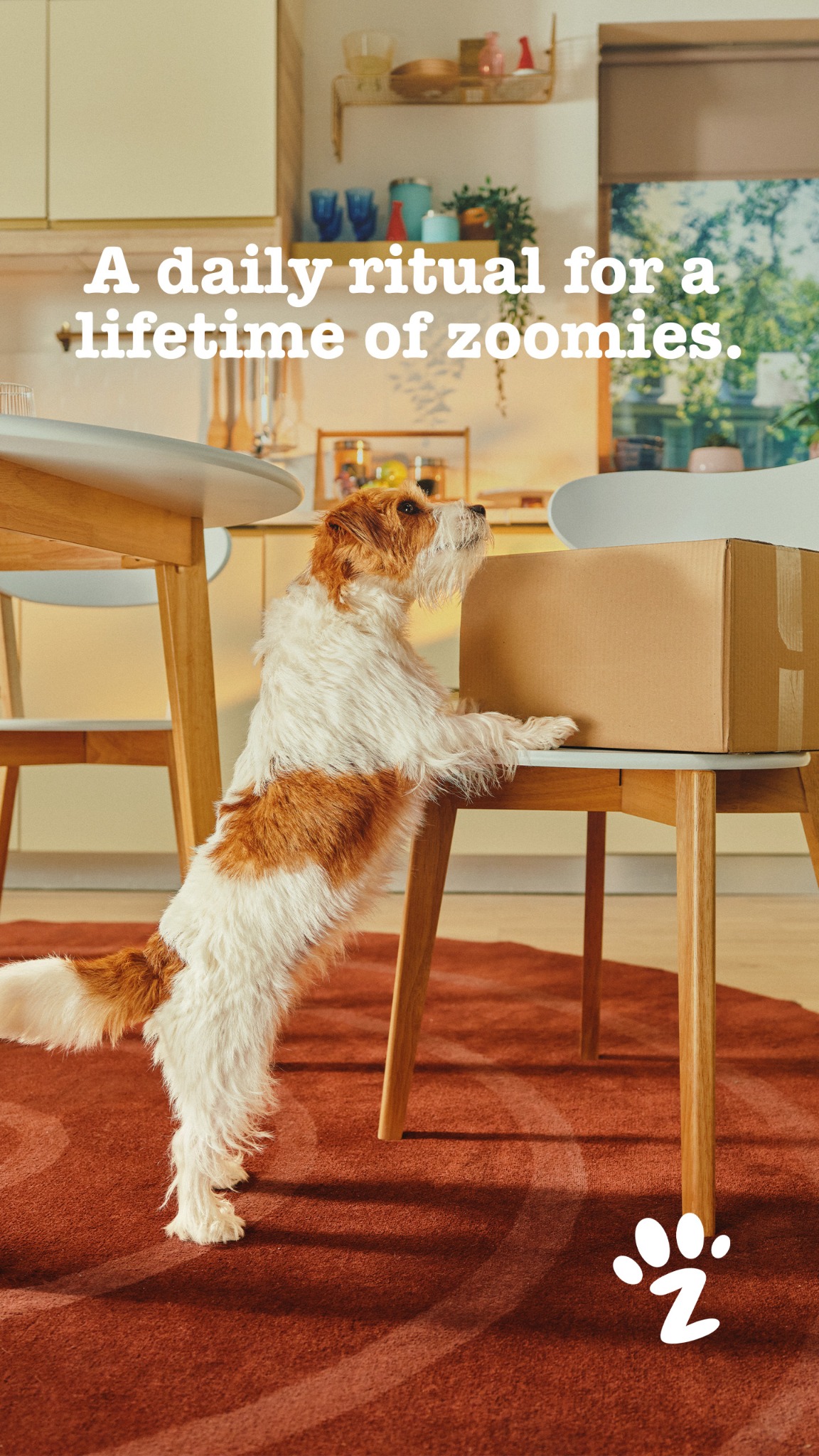 Zesty Paws Facebook ad