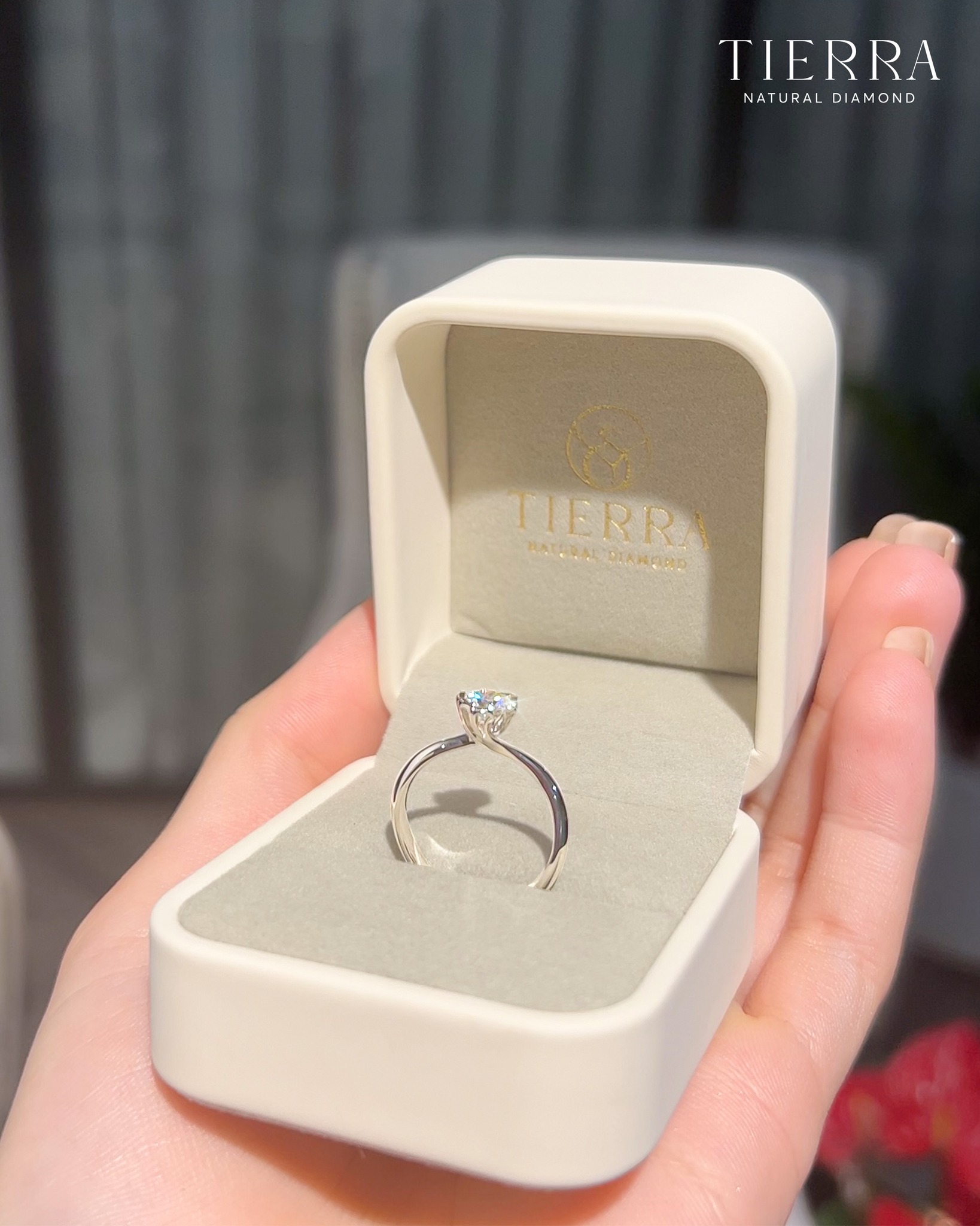Tierra Diamond Jewelry Facebook ad