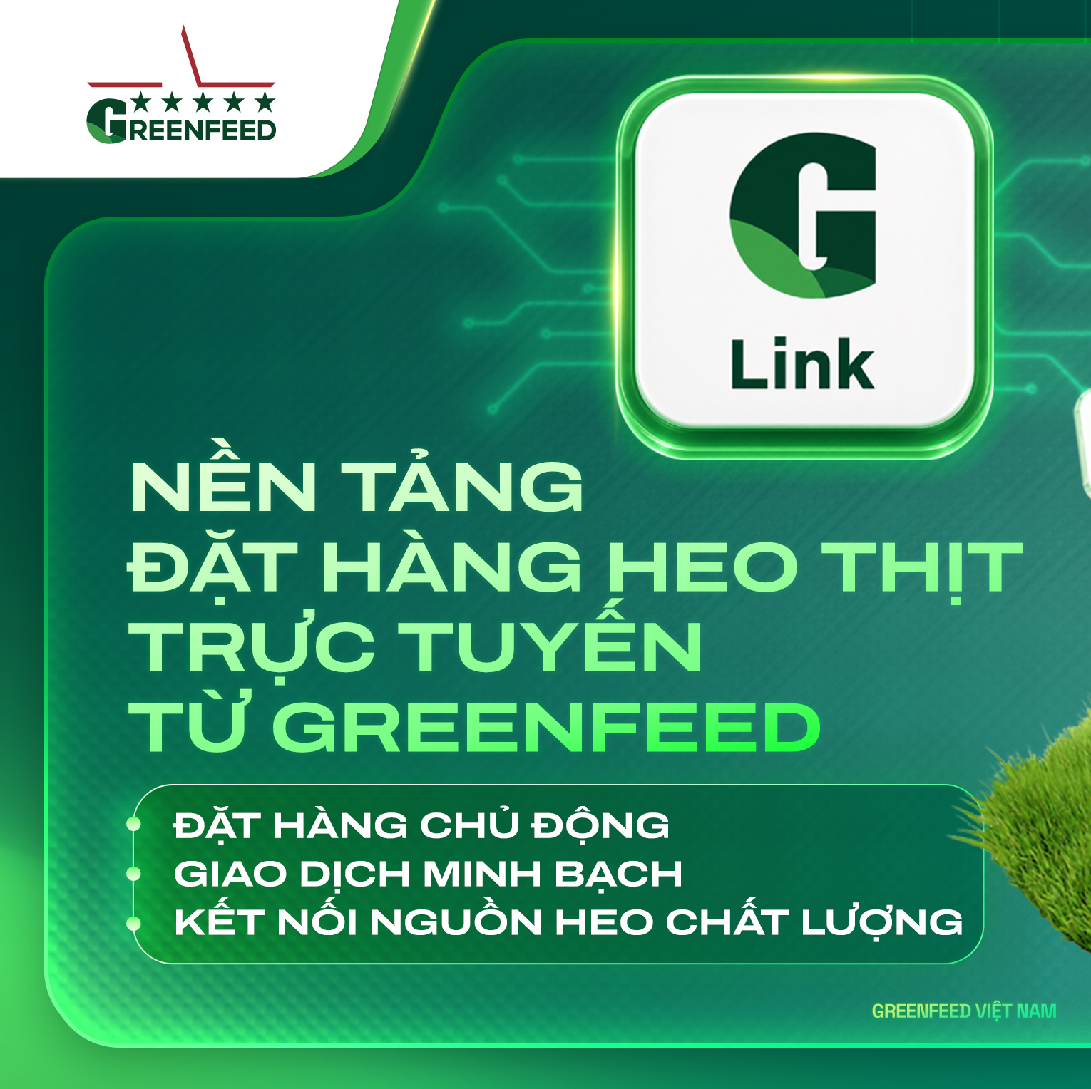 GREENFEED Việt Nam Facebook ad: CÙNG G-LINK ĐẶT HÀNG CHỦ ĐỘNG, GIAO DỊCH…