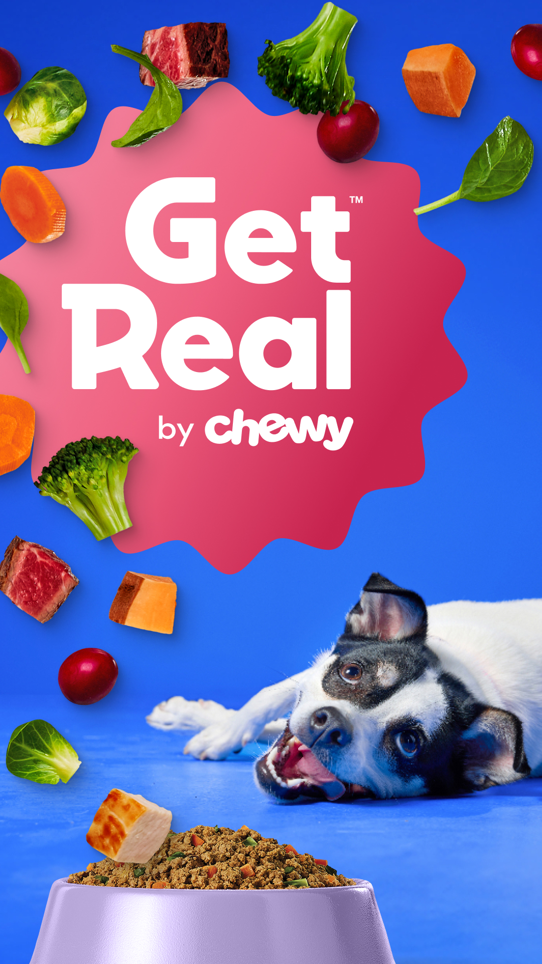 Chewy Facebook ad