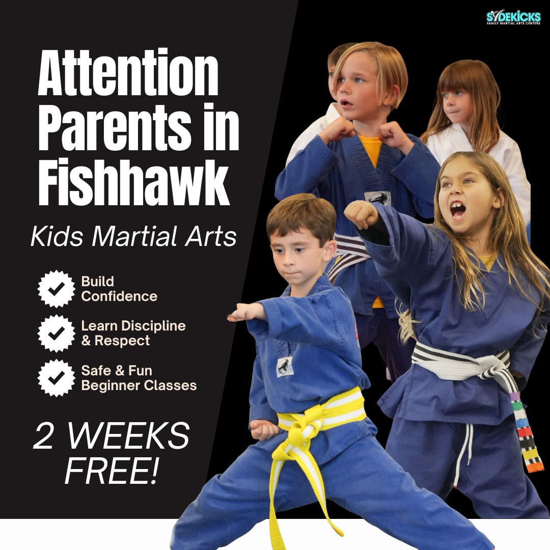 Sidekicks Family Martial Arts Center Facebook ad