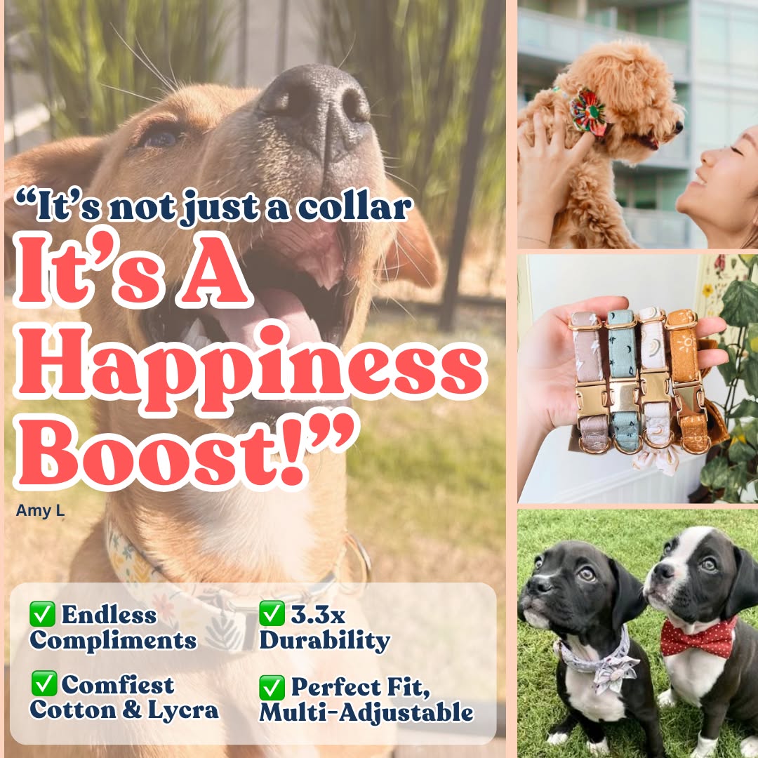 Sniff & Bark Facebook ad
