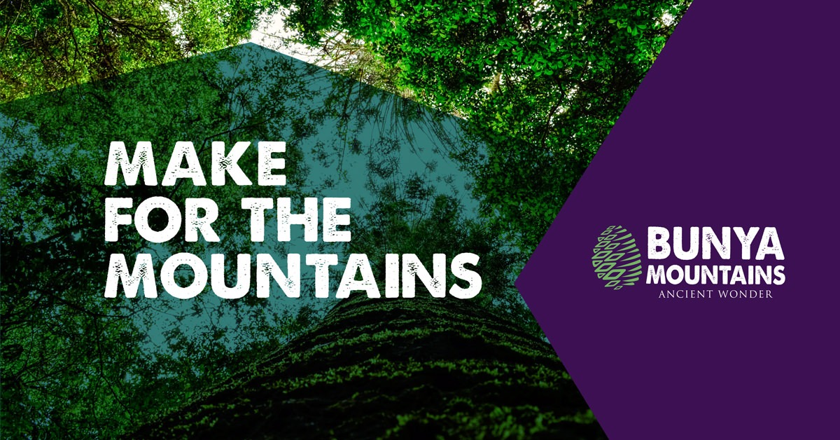 Bunya Mountains Accommodation Facebook ad: Refuel your spirit in one of 104 holiday homes