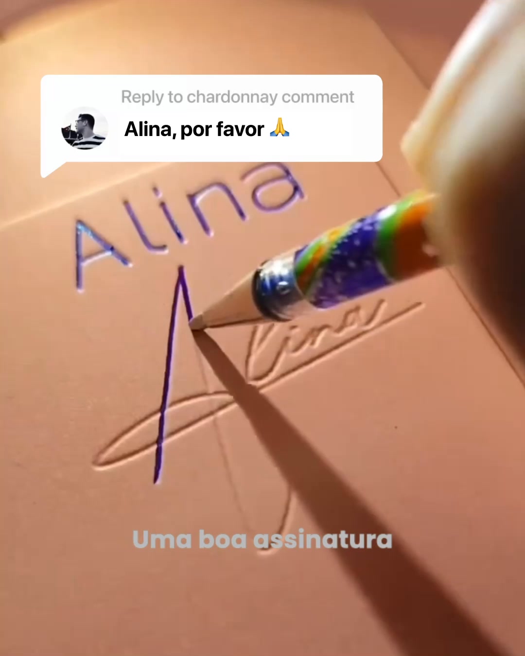 Nova - AI Chatbot Facebook ad from Aug 14, 2026
