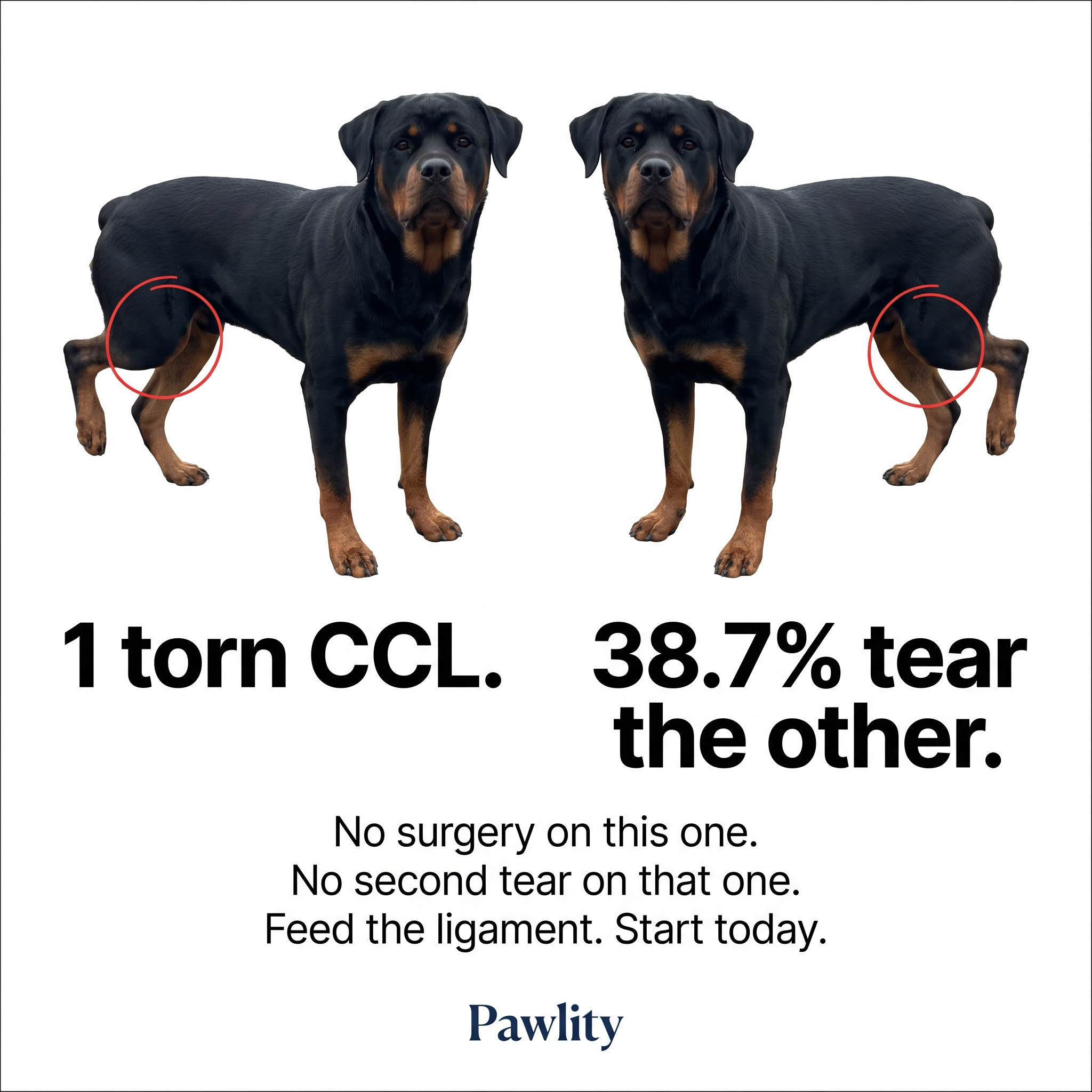 Vet-Recommended Pet Products Facebook ad: 38.7% Tear The Other One Too