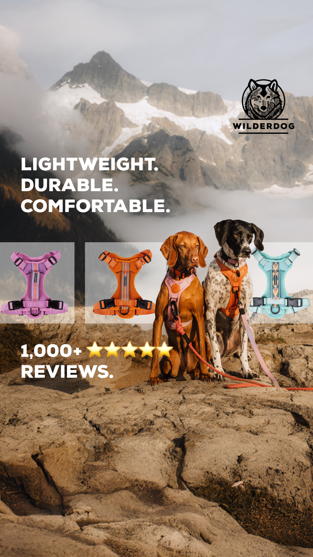 Wilderdog Facebook ad