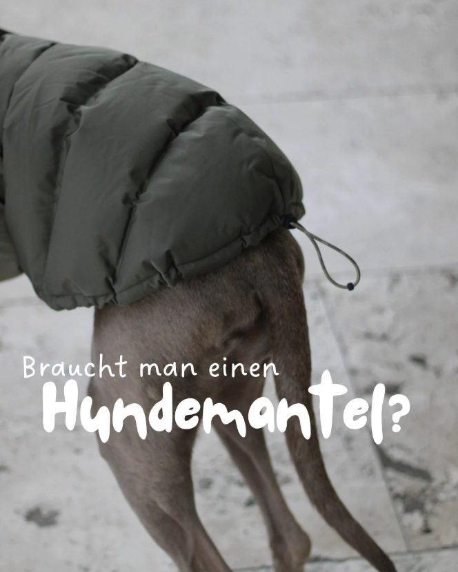 thea.weimaraner Facebook ad