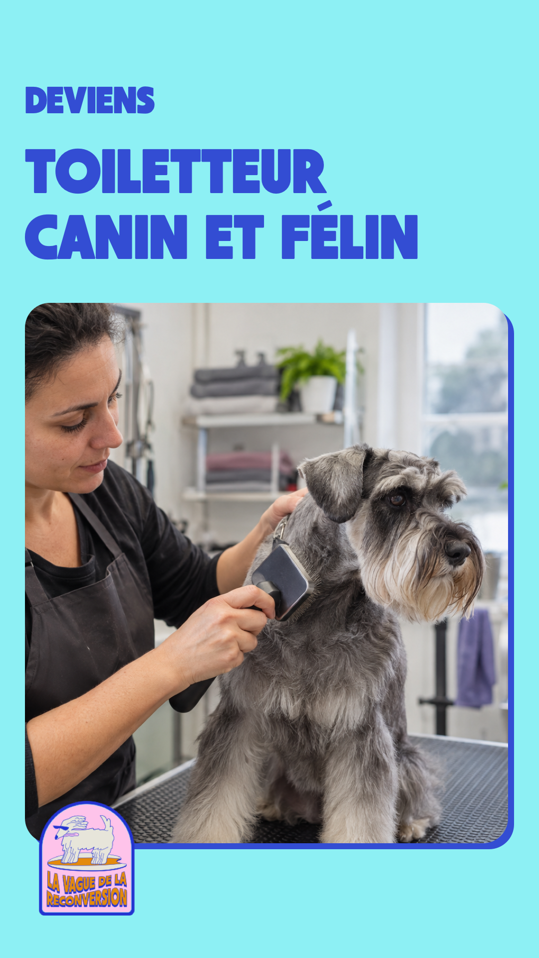 Snob Dog Academy Facebook ad: Formations en ligne